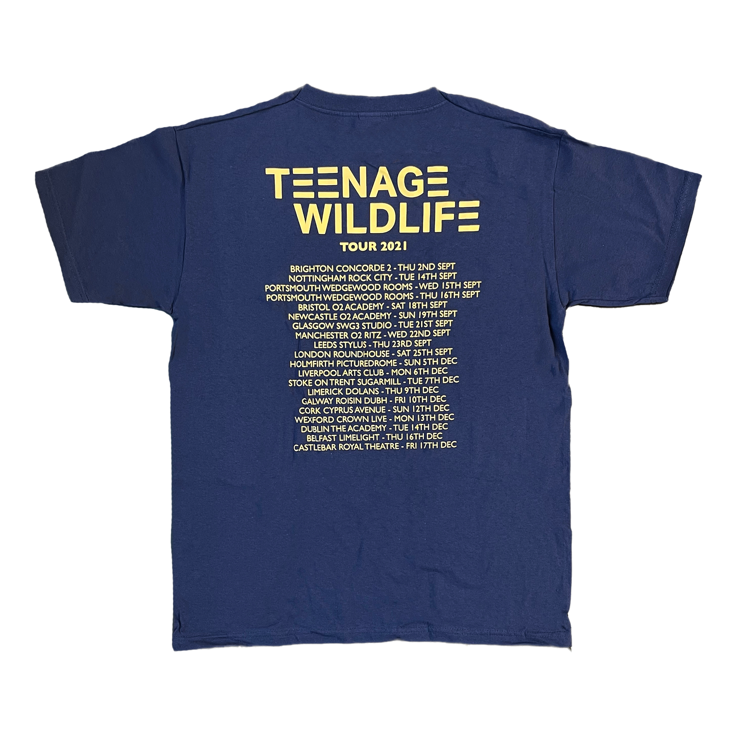 Classic Ash Logo - Tour T-Shirt (Blue)